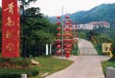 青岛十梅庵风景区怎么玩？附游玩路线