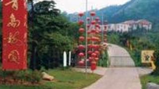 青岛十梅庵风景区怎么玩？附游玩路线