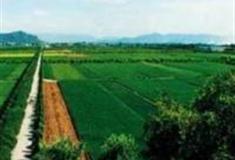 杭州富阳蓝郡农业怎么玩？附游玩路线