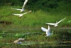 普洱茭瓜塘怎么玩？附游玩路线