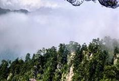 白马尖：金竹峰休息亭