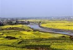 重庆清溪龙凤花海怎么玩？附游玩路线