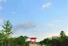 北京大望京公园怎么玩？附游玩路线