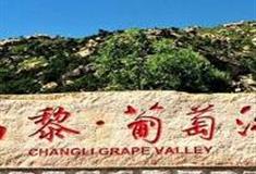 秦皇岛河北葡萄沟怎么玩？附游玩路线