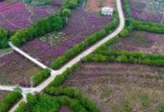 铜仁玉屏城市生态农业观光园怎么玩？附游玩路线