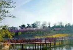 潍坊桂河湿地公园怎么玩？附游玩路线