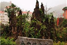 重庆金刀峡怎么玩？附游玩路线