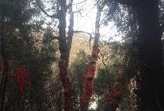 伏羲山神仙洞：三女思父