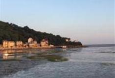 嘉兴浙江九龙山国家森林公园怎么玩？附游玩路线