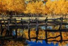 阿拉善盟中国·额济纳胡杨林旅游区怎么玩？附游玩路线