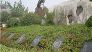 徐州古黄河公园怎么玩？附游玩路线