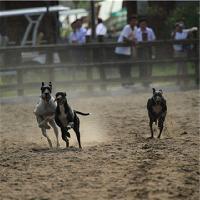 苏州江南农耕文化园19403