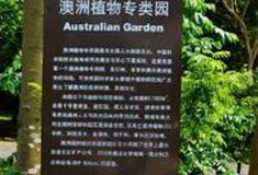 中国科学院华南植物园：澳洲植物专类园
