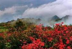 桂林盘古岭长蛇岭步道怎么玩？附游玩路线