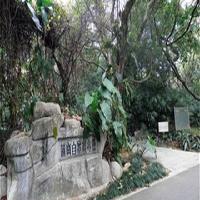 中国科学院华南植物园18803