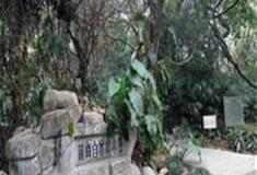 中国科学院华南植物园：蒲岗自然保护区