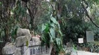 中国科学院华南植物园：蒲岗自然保护区