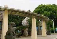 上海紫薇公园怎么玩？附游玩路线