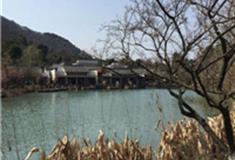 杭州超山风景区怎么玩？附游玩路线