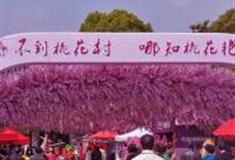 上海南汇桃花村怎么玩？附游玩路线