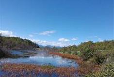 拉市海湿地公园：月亮湾