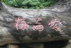 厦门梅海岭怎么玩？附游玩路线