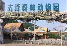 大连森林动物园怎么玩？附游玩路线