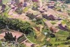 重庆江津太公山景区怎么玩？附游玩路线