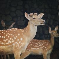 苏州江南农耕文化园19405