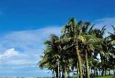 湛江海滨公园怎么玩？附游玩路线