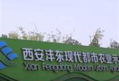 西安沣东现代都市农业博览园怎么玩？附游玩路线