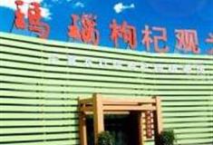 银川红玛瑙枸杞观光园怎么玩？附游玩路线