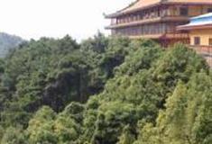 佛山杨梅观音禅寺怎么玩？附游玩路线