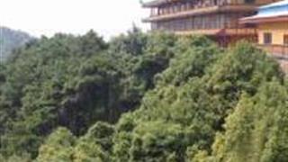佛山杨梅观音禅寺怎么玩？附游玩路线