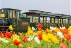 杭州径山花海·千花里怎么玩？附游玩路线