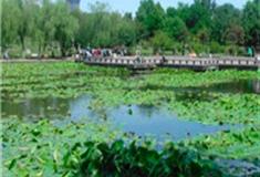 邯郸赵苑公园怎么玩？附游玩路线