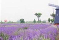 孝感金卉庄园怎么玩？附游玩路线