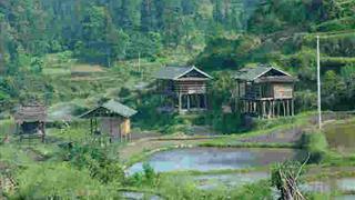 南京钟山风景名胜区怎么玩？附游玩路线