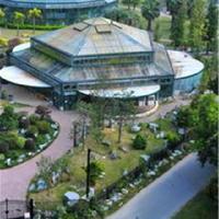 中国科学院华南植物园18775