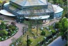 中国科学院华南植物园：高山/极地植物区