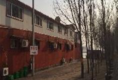 杨柳青镇：益顺河果蔬种植庄园