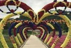 深圳九龙山花仙谷怎么玩？附游玩路线