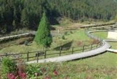 丽水龙泉大窑枫洞岩窑址怎么玩？附游玩路线