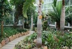 中国科学院华南植物园：珍奇凤梨温室