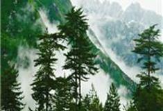 西安翠峰山森林公园怎么玩？附游玩路线