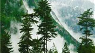 西安翠峰山森林公园怎么玩？附游玩路线