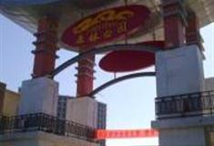 银川森林公园怎么玩？附游玩路线