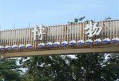 青岛海军博物馆怎么玩？附游玩路线