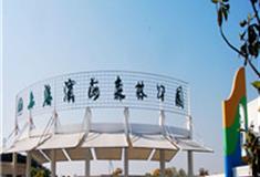 上海滨海森林公园怎么玩？附游玩路线