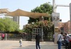 石家庄月季公园怎么玩？附游玩路线